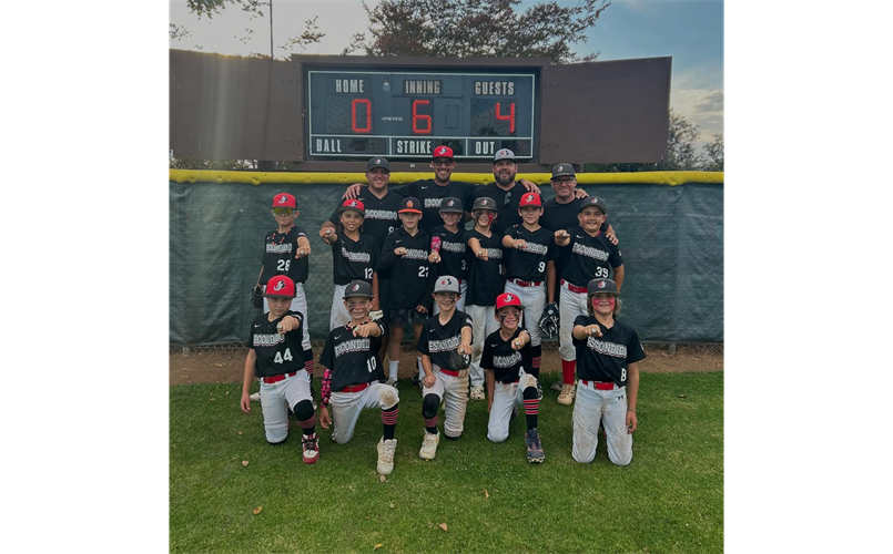 2025 Mustang 10U All Stars